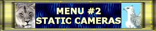STATIC CAMS